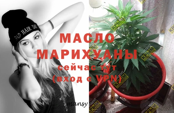 гашик Заводоуковск