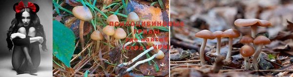 амфетамин Заволжск