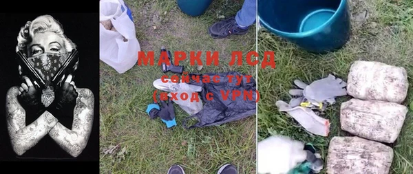 гашик Заводоуковск