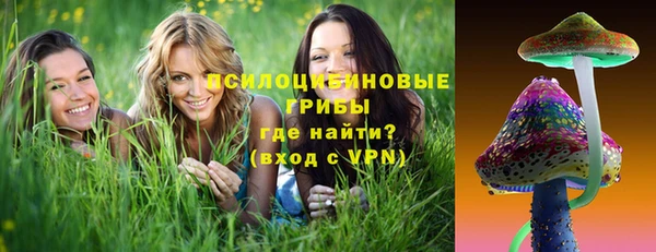 гашик Заводоуковск