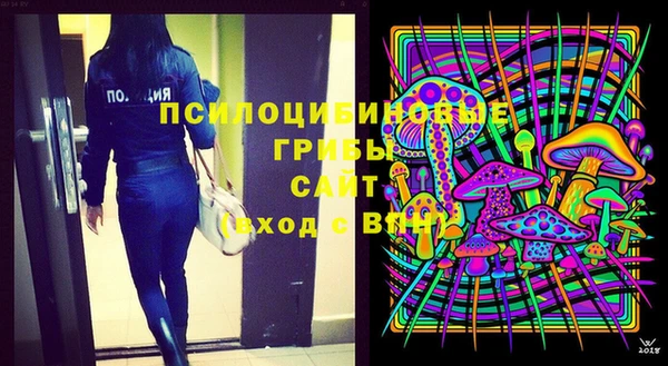 соль ск Заволжье