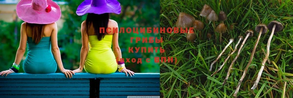 гашик Заводоуковск