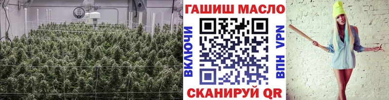 как найти   Ачинск  ТГК гашишное масло 