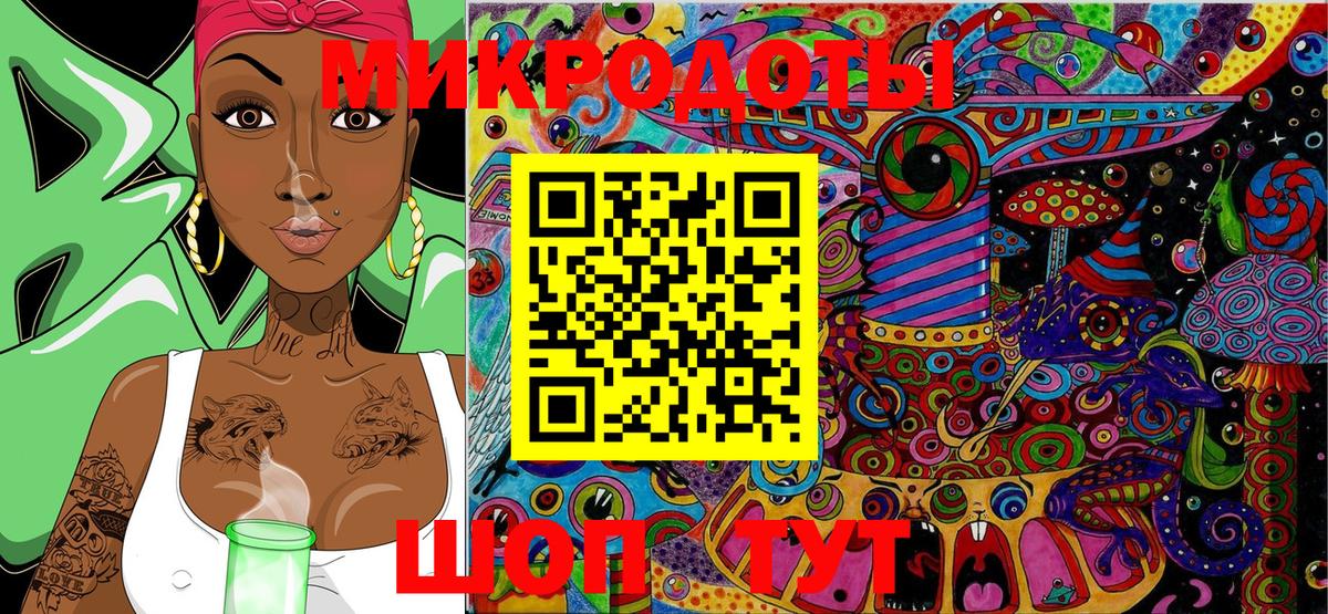 Галлюциногенные грибы Psilocybine cubensis Ачинск