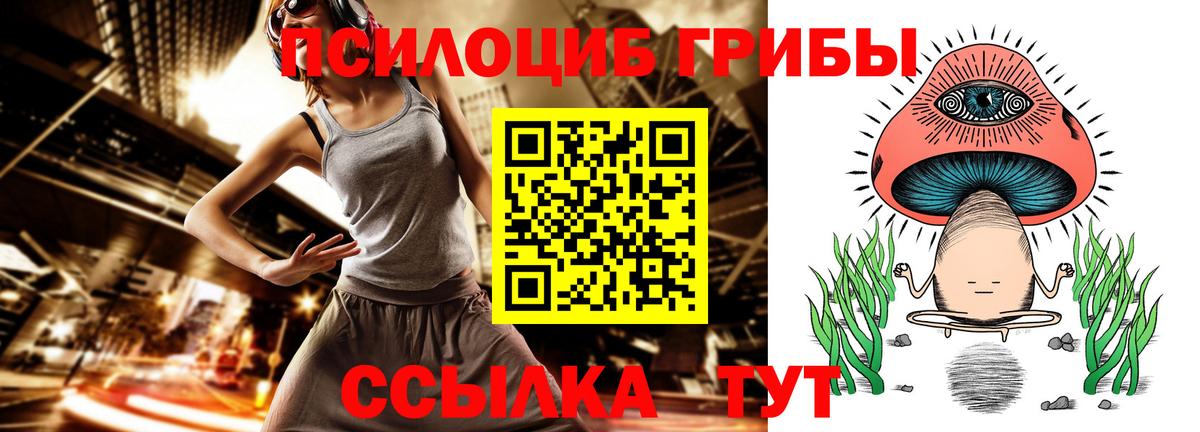 Псилоцибиновые грибы мухоморы  Галлюциногенные грибы Magic Shrooms  купить  сайты  Вход с VPN  Ачинск 